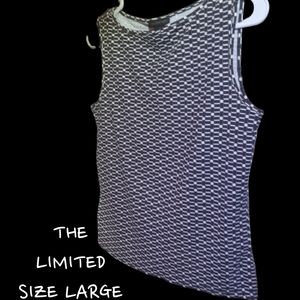 Dress Tank Top from The Limited